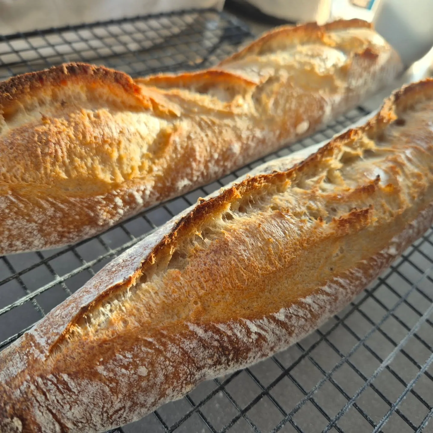 LightBen Food gallery image