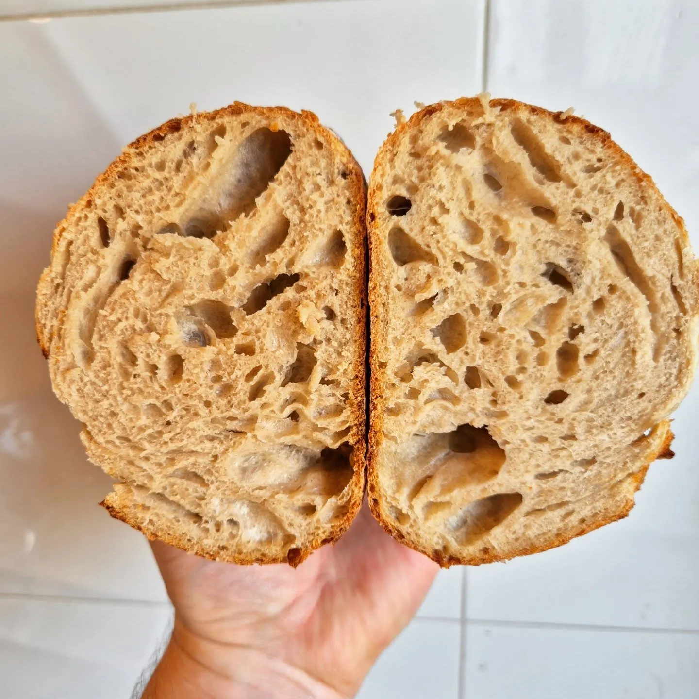 LightBen Food gallery image